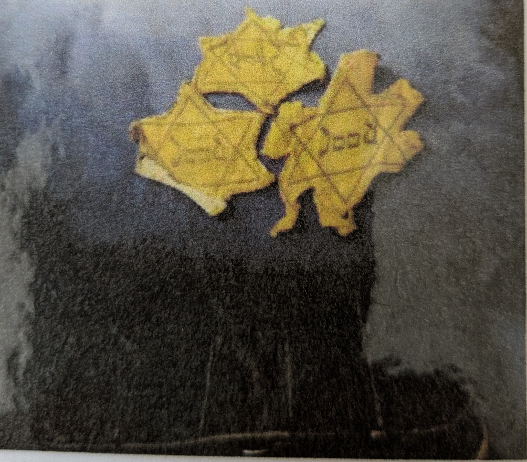 Bertha Goldschmidts 'Judensterne'