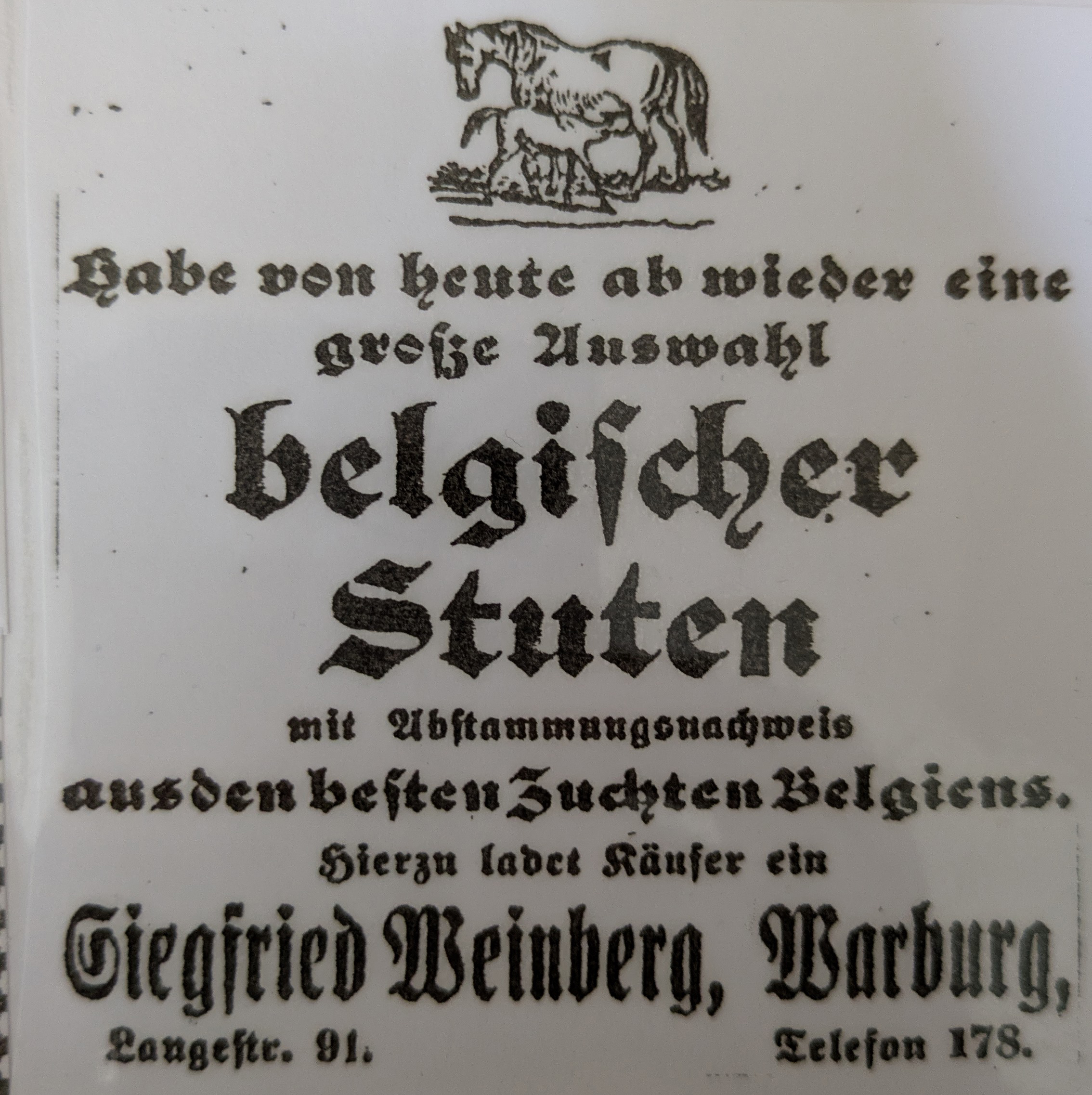 Werbung Pferdehandel